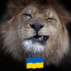 Meet your Posher, Serega